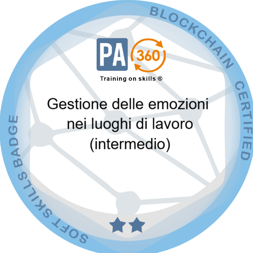 Badge pubblico 67010